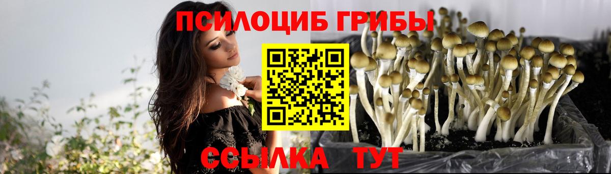 Купить  Кыштым  Вход с VPN  Меф   Гашиш  Канабис  Кокаин 